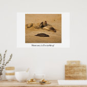 北カリフォルニアのゾウのアザラシ ポスター (キッチン)