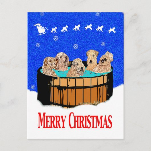 北カリフォルニアのメリークリスマス シーズンポストカード (正面)