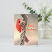 北カーディナの聖降誕祭 シーズンポストカード (スタンド正面)