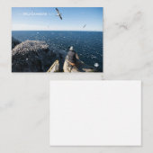 北ガネット ノートカード (正面/裏面)