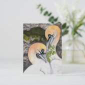 北ガネット ポストカード (スタンド正面)