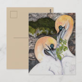 北ガネット ポストカード (正面/裏面)