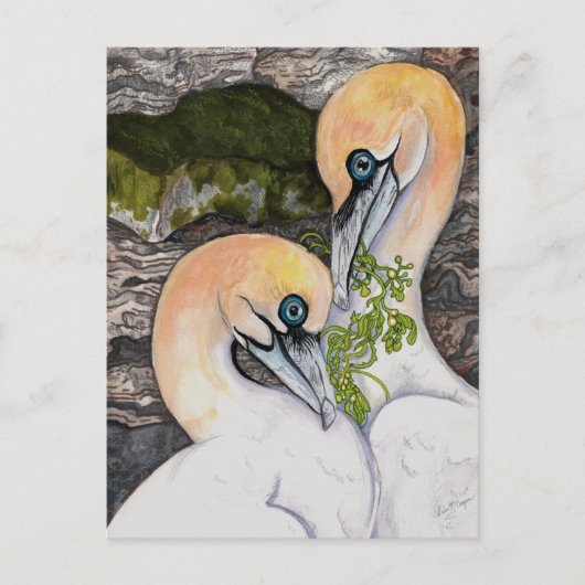 北ガネット ポストカード (正面)