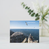 北ガネット ポストカード (スタンド正面)