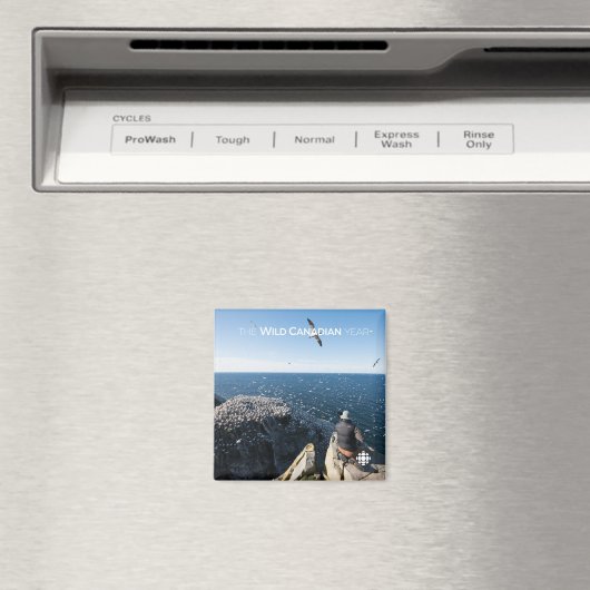 北ガネット マグネット (インサイチュ (食洗機))