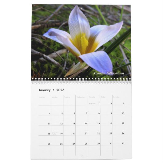 北ギリシャの植物相への捧げ物 カレンダー (1月 2026)