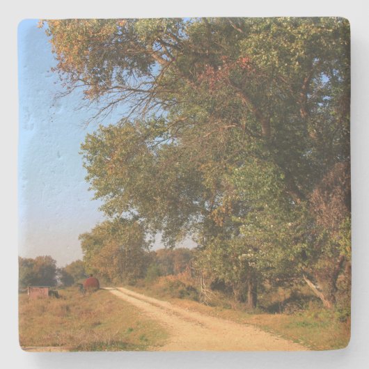 北ギリシャのSqコースターで風光明媚 ストーンコースター (正面)