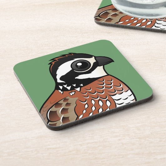 北コリンウズラ コースター (左側)