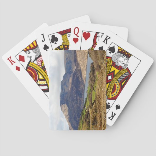 北コンネマラ トランプ (裏面)