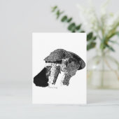 北ゴショク ポストカード (スタンド正面)