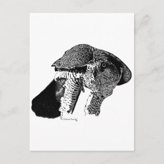 北ゴショク ポストカード