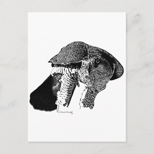 北ゴショク ポストカード (正面)