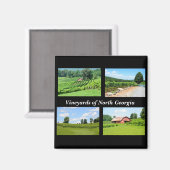 北ジョージアのワインカントリーのブドウ畑 マグネット (正面/裏面)