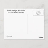 北ジョージア山ホワイトテールディアー ポストカード (裏面)