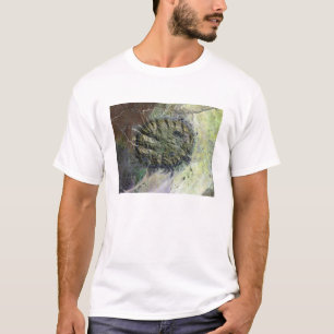 北ナミビアのBrandbergの中央山塊 Tシャツ