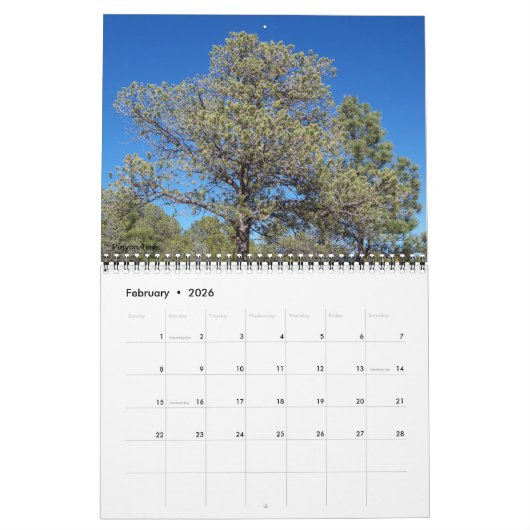 北ニューメキシコの美しいカレンダー カレンダー (2月 2026)