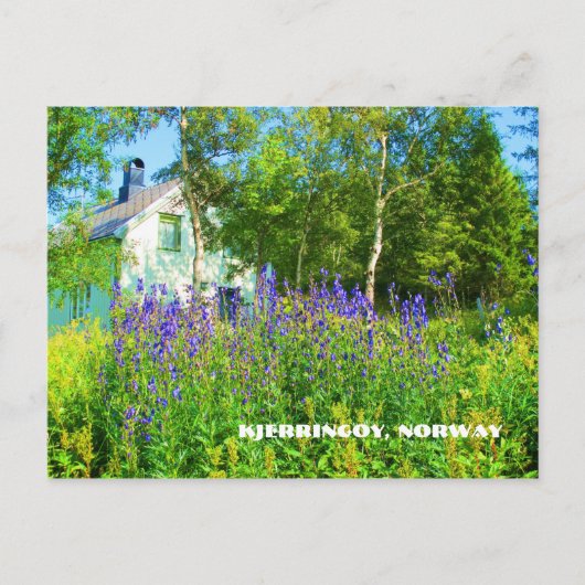 北ノルウェーハガキ ポストカード (正面)