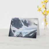 北ノルウェーリンゲンアルプス カード (黄色い花)