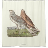 北ハリアー(リングや輪の尾を持つタカ)のNY鳥 シャワーカーテン (正面)