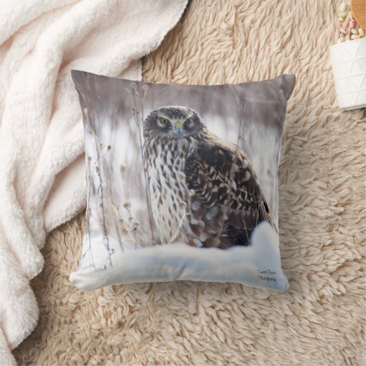 北ハリア女性 クッション (ブランケット)