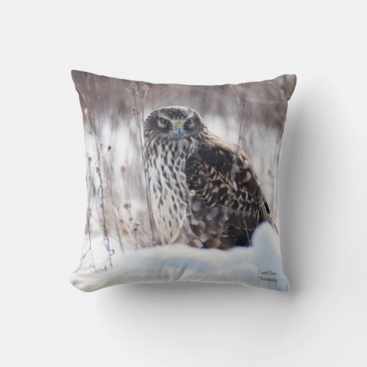 北ハリア女性 クッション (正面)