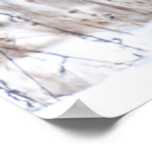 北ハリエ女性 ポスター (角)