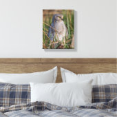 北ハリヤーのプロフィール キャンバスプリント (インサイチュ (寝室))