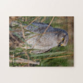 北ハリヤーのプロフィール ジグソーパズル (横)