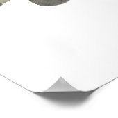 北パイク ポスター (角)