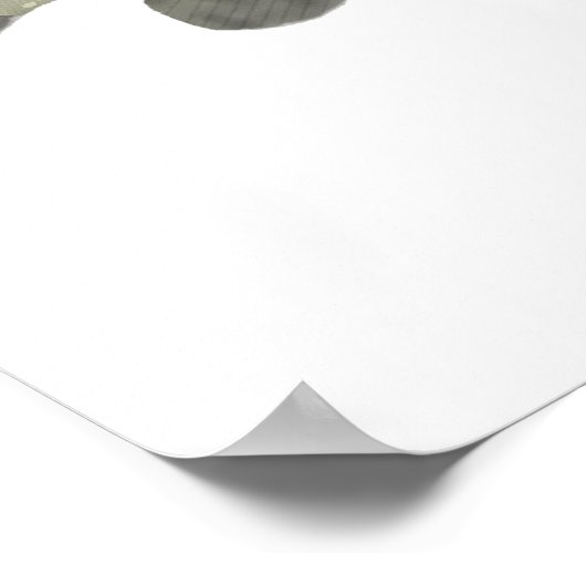 北パイク ポスター (角)