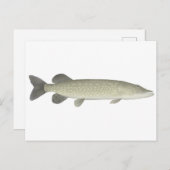 北パイク ポストカード (正面/裏面)