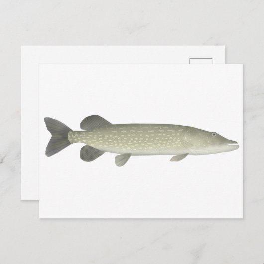 北パイク ポストカード (正面/裏面)