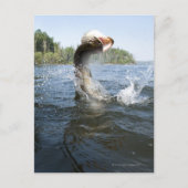 北パイク ポストカード (正面)