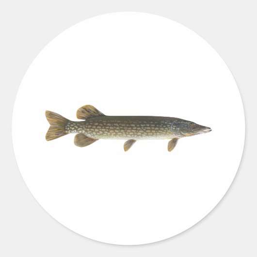 北パイク ラウンドシール (正面)