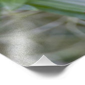 （北パララ・アメリカ） フォトプリント            (角)