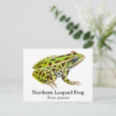 北ヒョウのカエルのはがき ポストカード (スタンド正面)