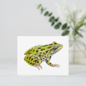 北ヒョウのカエルのはがき ポストカード (スタンド正面)