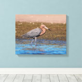 北ビーチ14x11赤いエグレ キャンバスプリント (インサイチュ (ウッドフロア))