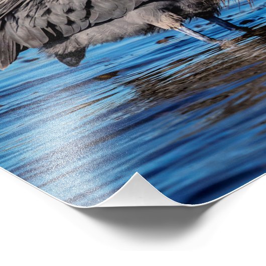 北ビーチ14x11赤いエグレ フォトプリント (角)