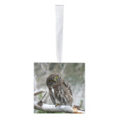 北ピグミフクロウ キューブオーナメント (右)