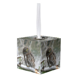 北ピグミフクロウ キューブオーナメント