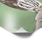 北ピグミフクロウ フォトプリント            (角)