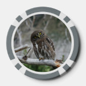 北ピグミフクロウ ポーカーチップ (裏面)