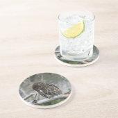 北ピグミーフクロウのコースター コースター (側面)