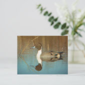 北ピンテール葉書 ポストカード (スタンド正面)