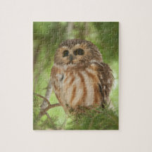 北フクロウを鋸磨いて下さい