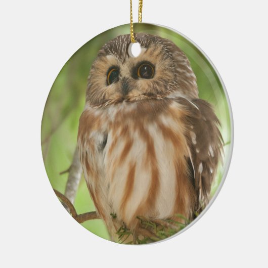 北フクロウを鋸磨いて下さい セラミックオーナメント (左)