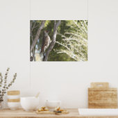 北フリッカのメスのポスター ポスター (キッチン)