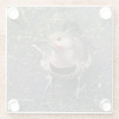 北フリッカの鳥瞰図 ガラスコースター (裏面)