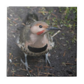 北フリッカの鳥瞰図 タイル (正面)